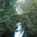 Riverside In The Burren Ferienhaus Corofin (Clare)