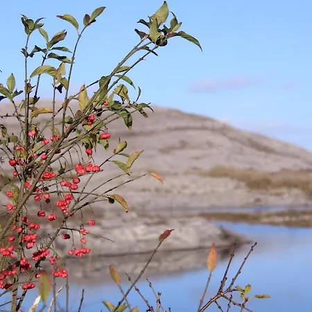Riverside In The Burren *